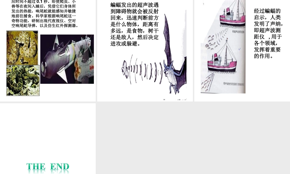 科学·技术·社会-动物与仿生-(2)