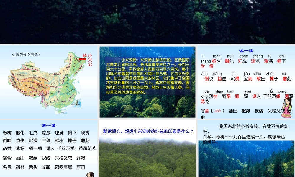 ①美丽的小兴安岭