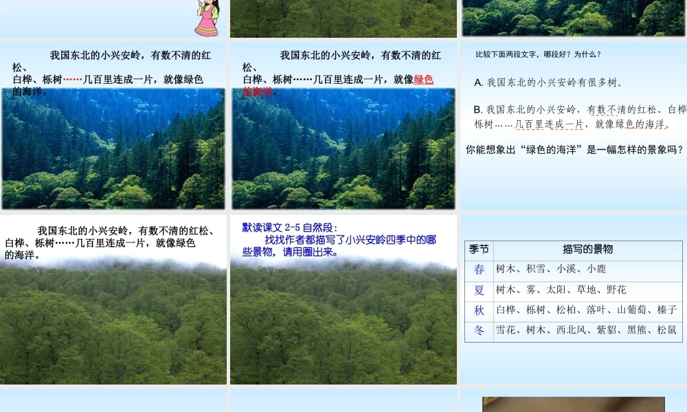 ①美丽的小兴安岭