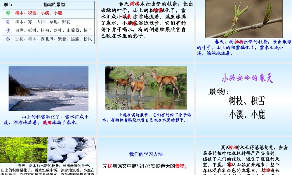 ①美丽的小兴安岭
