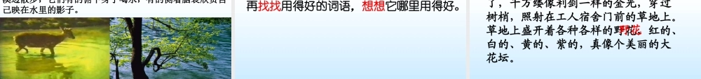 ①美丽的小兴安岭