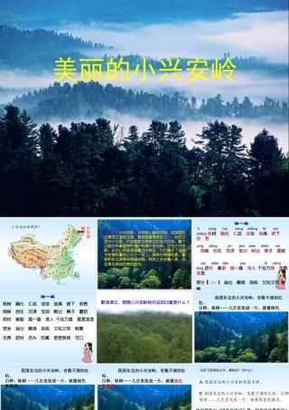 ①美丽的小兴安岭