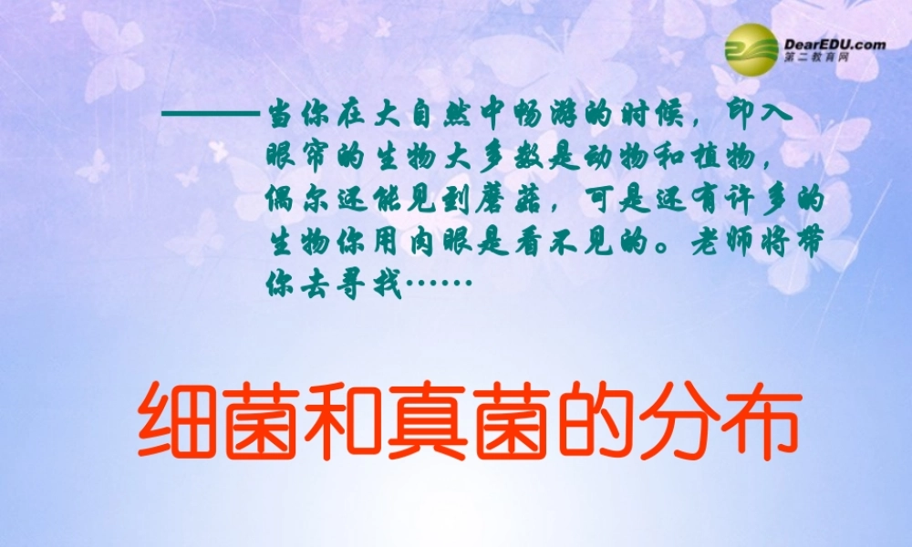 八年级生物上册 细菌和真菌的分布课件 新人教版 课件