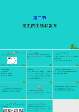 八年级生物下册 7.1.2昆虫的生殖和发育习题课件(新版)新人教版 课件