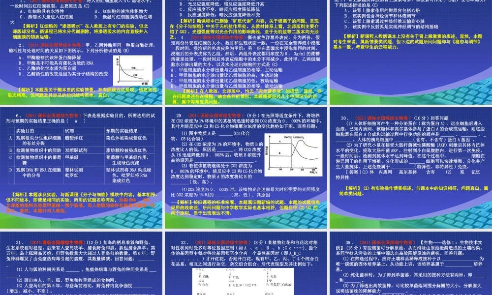 BB高考与新课程(兰)