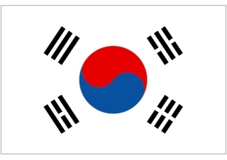 世界杯纸模：助威国旗(B3-韩国)