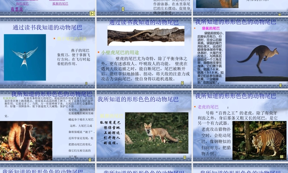 小壁虎借尾巴PPT一年级语文下册