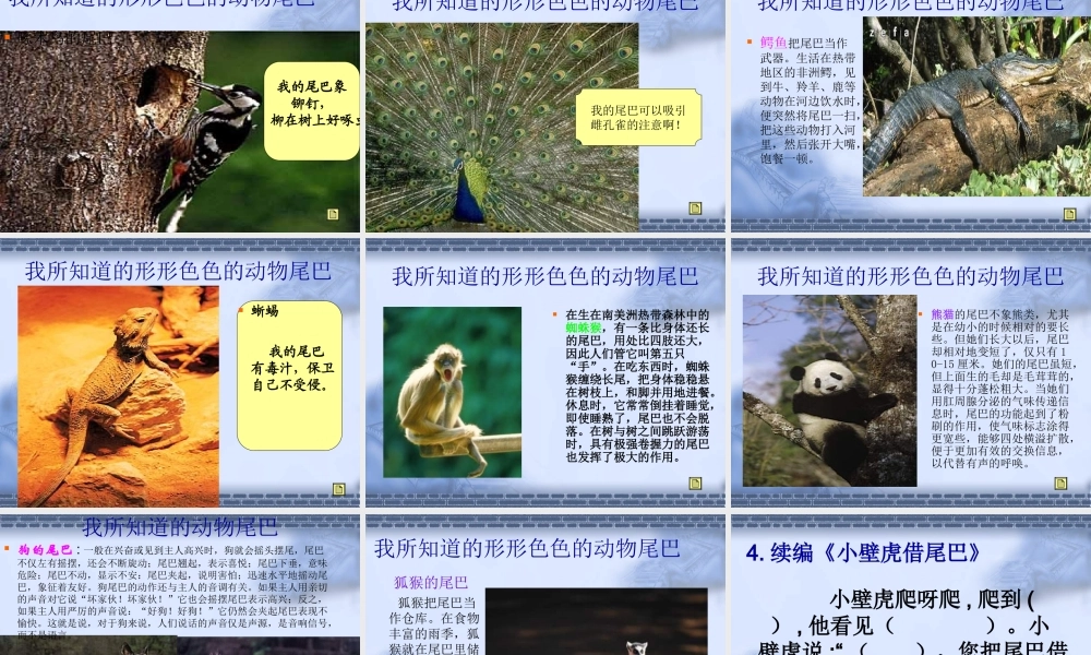 小壁虎借尾巴PPT一年级语文下册