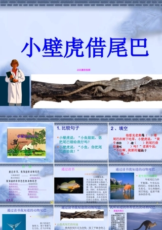 小壁虎借尾巴PPT一年级语文下册