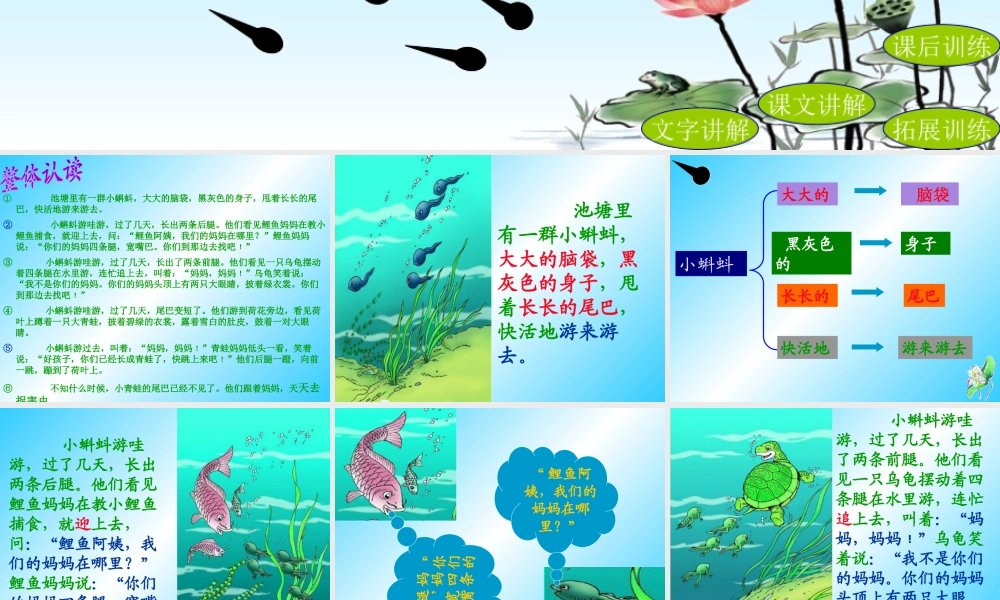 1小蝌蚪找妈妈