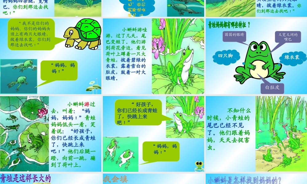 1小蝌蚪找妈妈