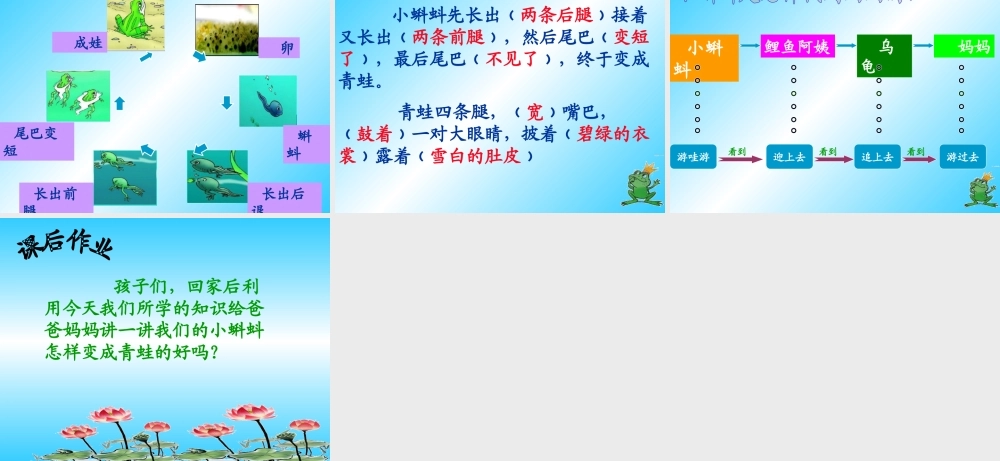 1小蝌蚪找妈妈