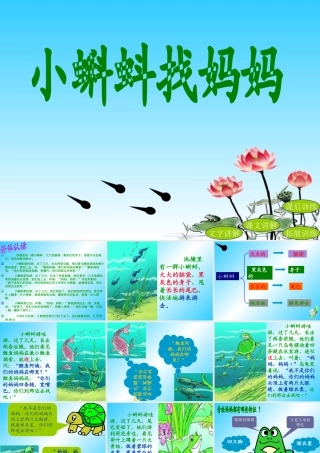 1小蝌蚪找妈妈
