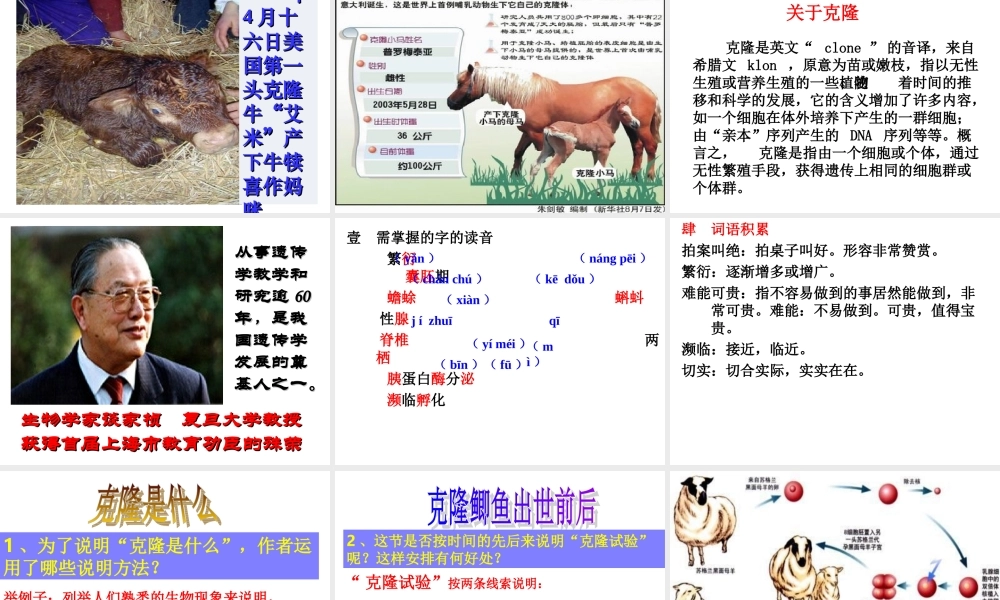 《奇妙的克隆》课件 (3)