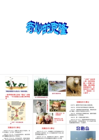 《奇妙的克隆》课件 (3)