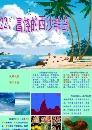 《富饶的西沙群岛》课件1