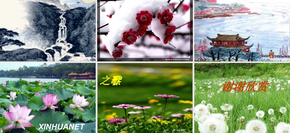 张学静活动课课件