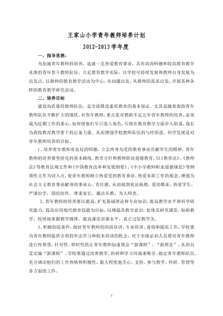 青年教师培养计划