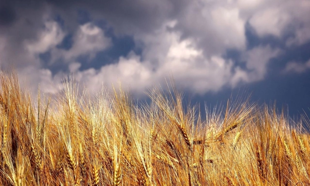 《大堰河—我的保姆》课件