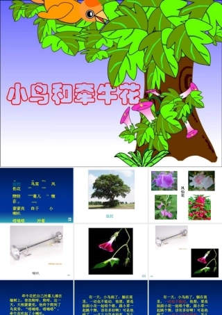 小鸟和牵牛花 (2)