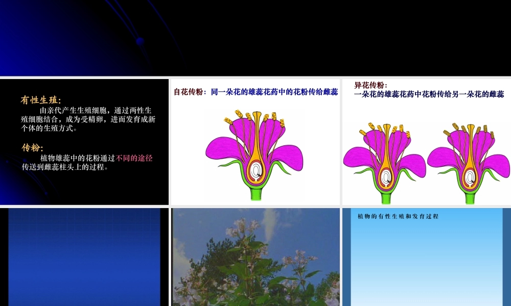 植物的有性生殖