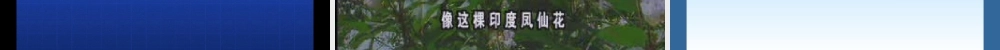 植物的有性生殖