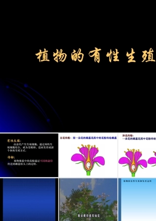 植物的有性生殖