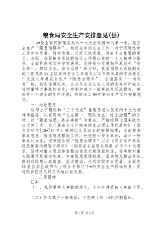 粮食局安全生产安排意见(县)