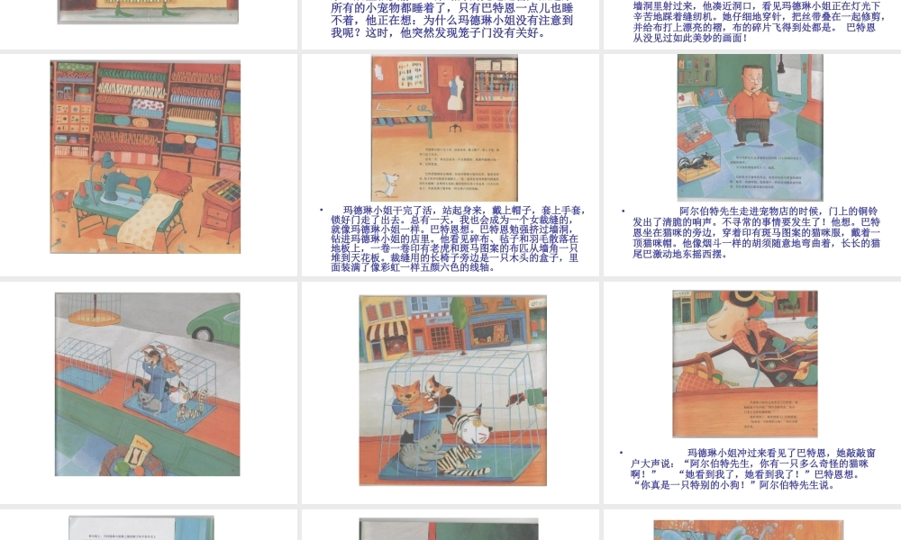 巴特恩的裁缝梦