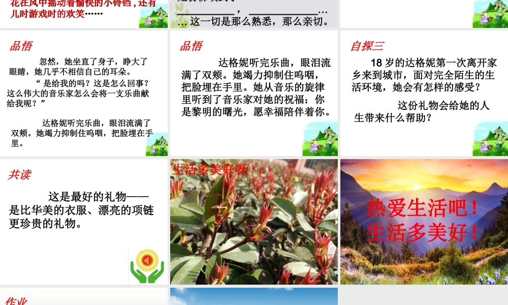 9献给守林人的女儿