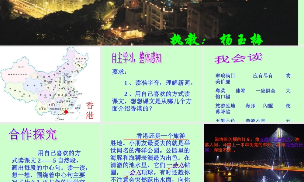香港璀璨的明珠梅