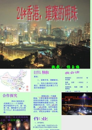 香港璀璨的明珠梅