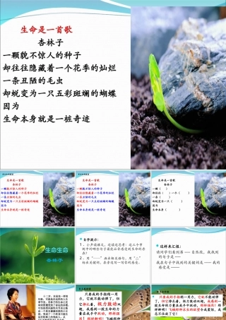 生命生命 课件