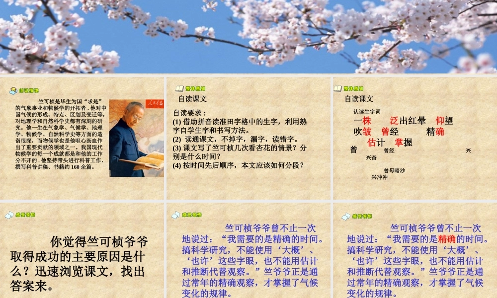 《第一朵杏花》课件 (2)