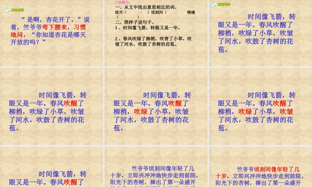 《第一朵杏花》课件 (2)