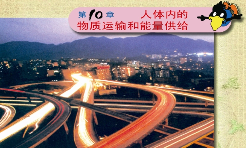 血液和血型苏教版