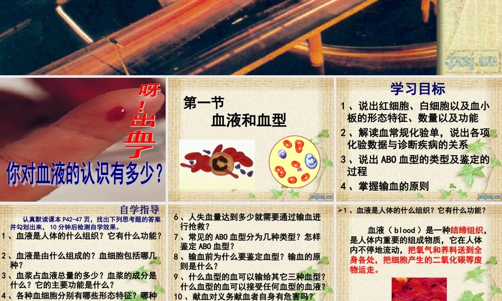 血液和血型苏教版