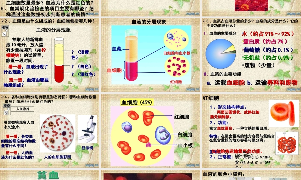 血液和血型苏教版