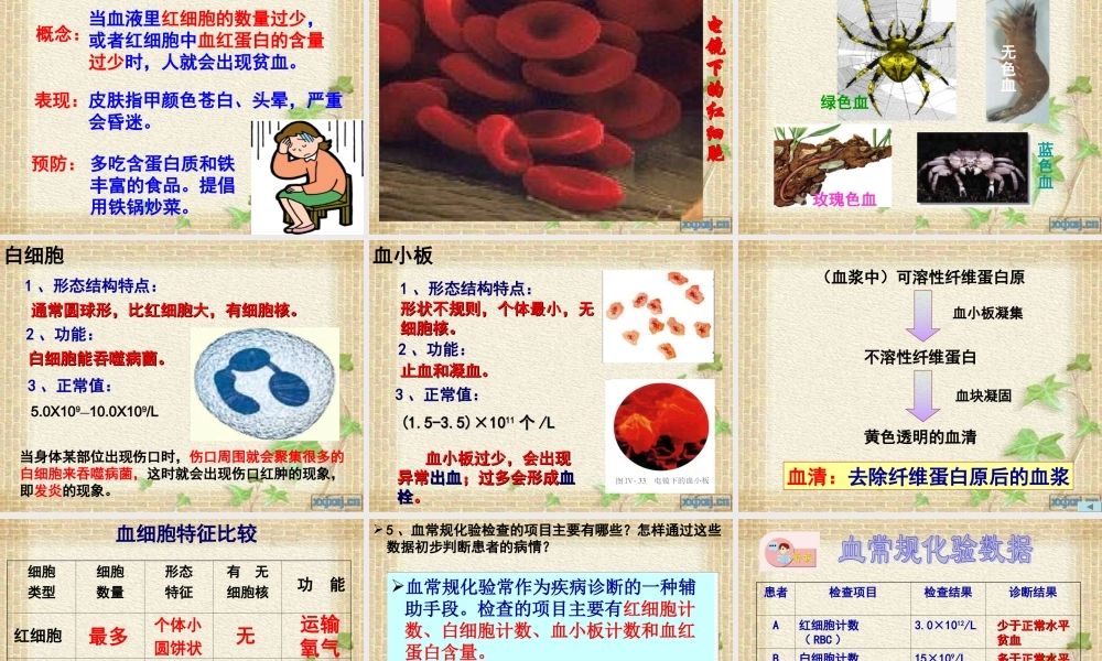 血液和血型苏教版