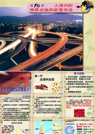 血液和血型苏教版