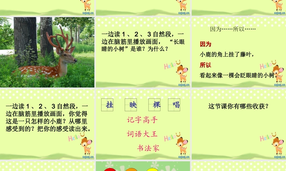 小学语文二上课件2、长眼睛的小树
