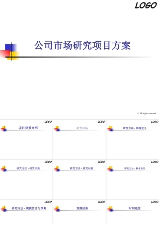 公司市场研究项目方案
