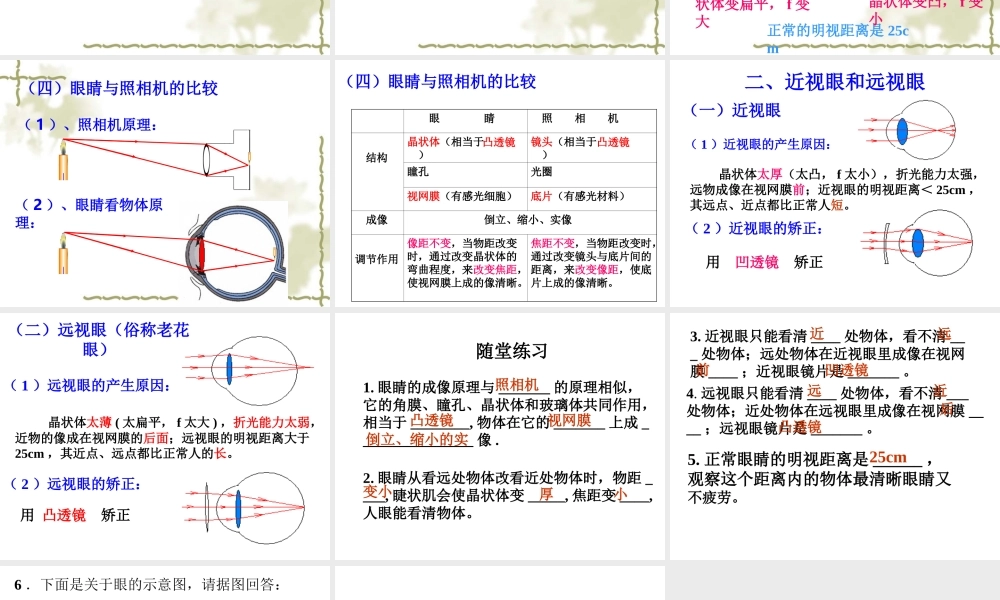 初中二年级物理上册第五章透镜及其应用第4节眼睛和眼镜课件