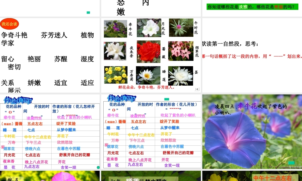 《花钟》公开课课件2