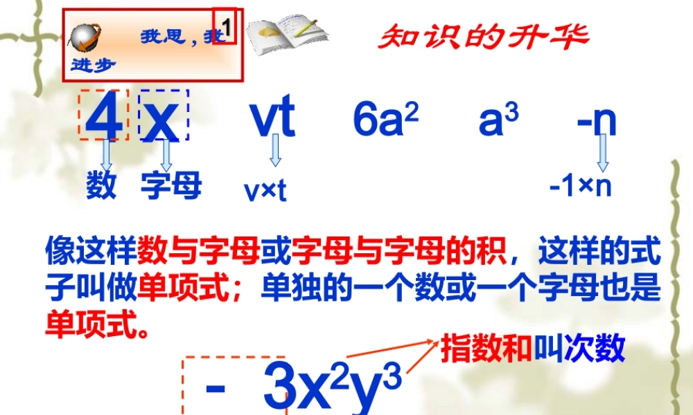 单项式多项式复习