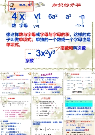 单项式多项式复习