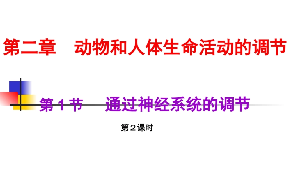 通过神经系统的调节(第2课时)