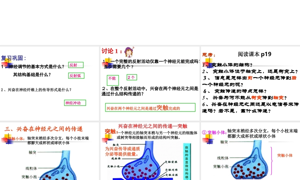 通过神经系统的调节(第2课时)