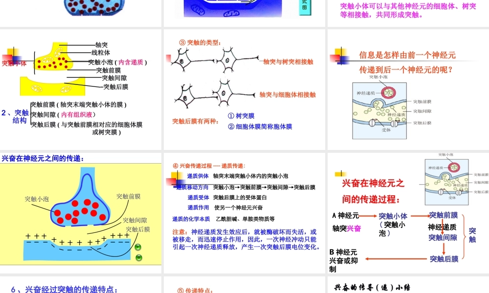 通过神经系统的调节(第2课时)