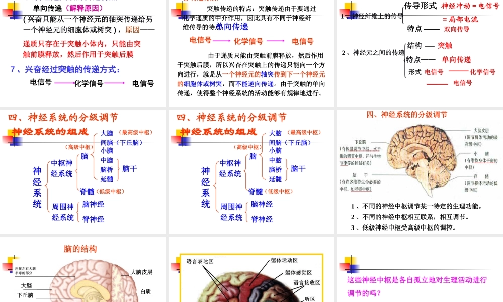 通过神经系统的调节(第2课时)